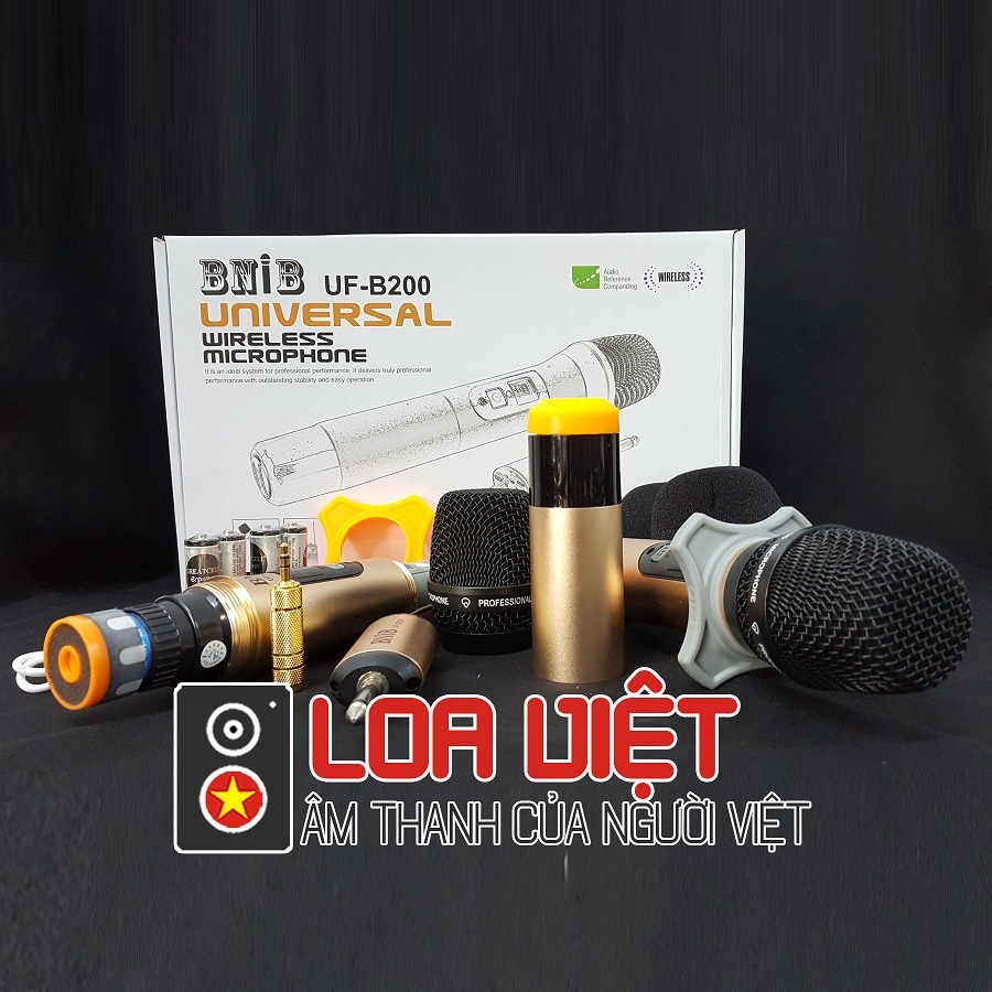 Micro không dây đa năng BNIB B200